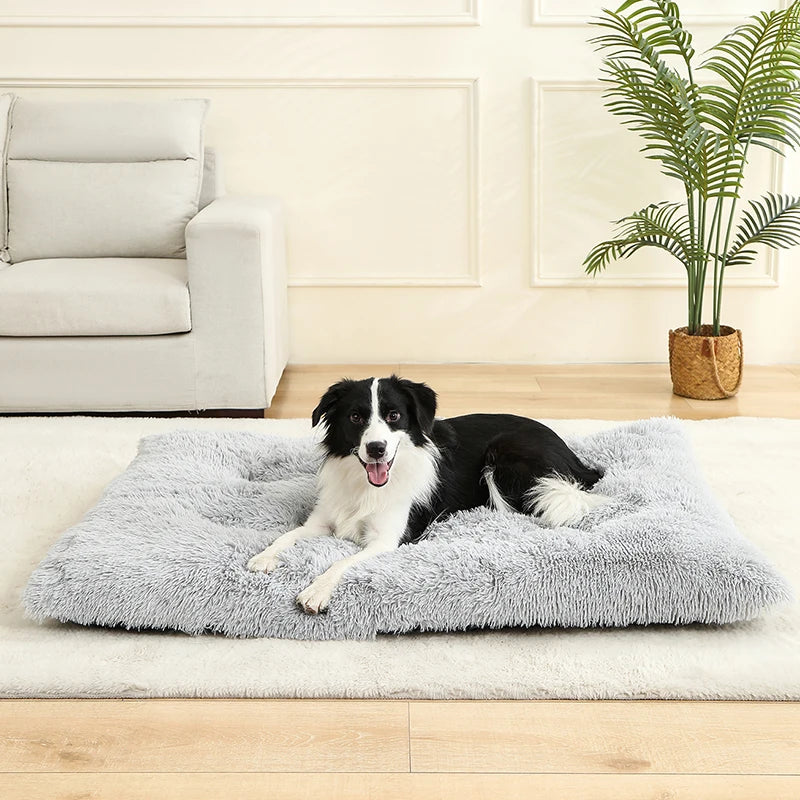 Soft Dog Mat