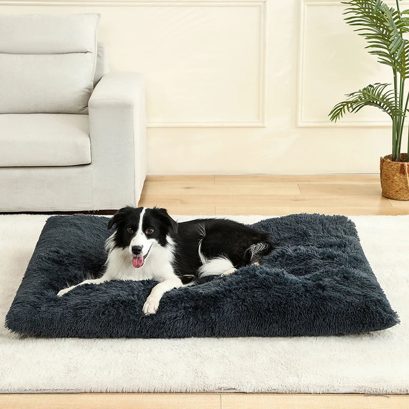 Soft Dog Mat