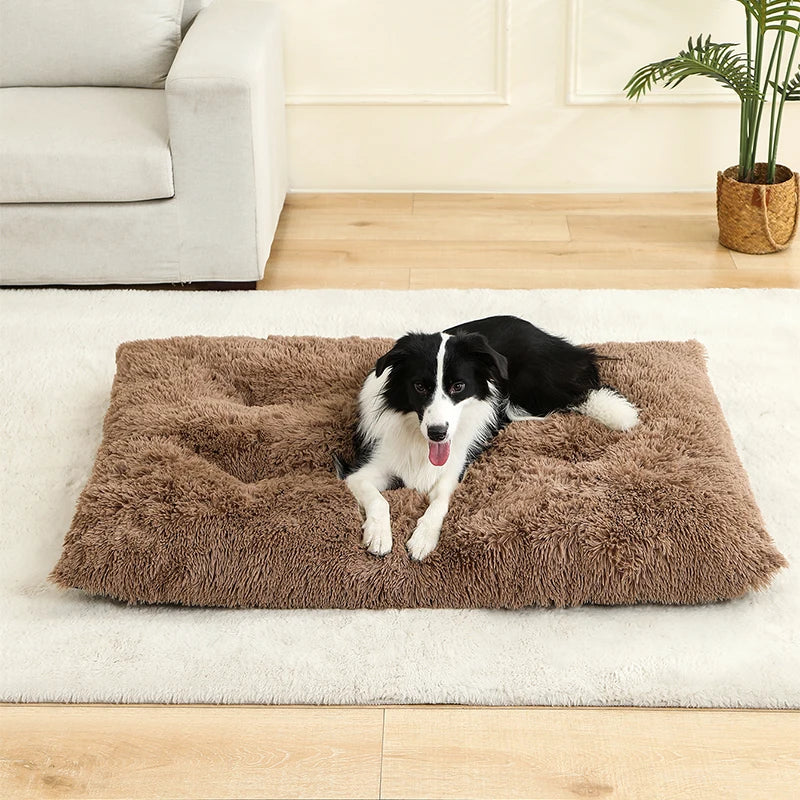 Soft Dog Mat
